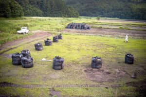 Iitatemura, departement de Fukushima un homme en tenue de protection contre les radiations travaille a la decontamination d'une riziere