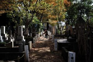 Tokyo, November 15 2012 - Zoshigaya cemetery at fall.