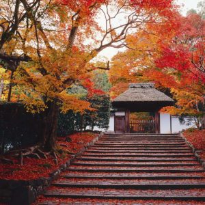 temple-anraku-ji-japon