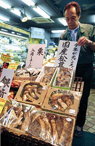 champignons-japonais