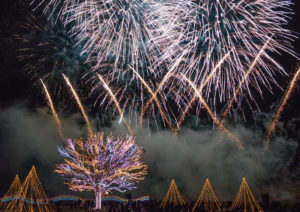 Niigata Japon special hanabi