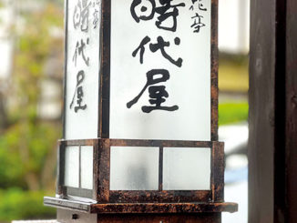 Littérature : Les belles lettres d'Ogawa Ito - ZOOM Japon
