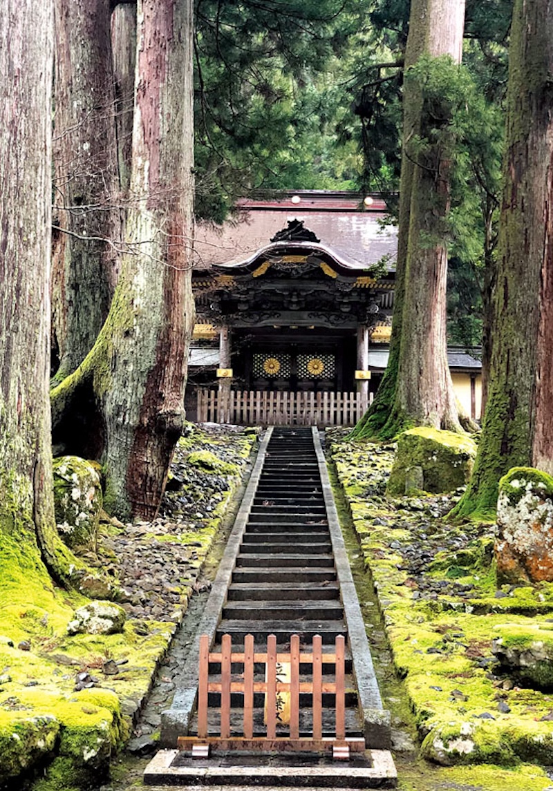 Vegan - Fukui Prefecture - Photography 