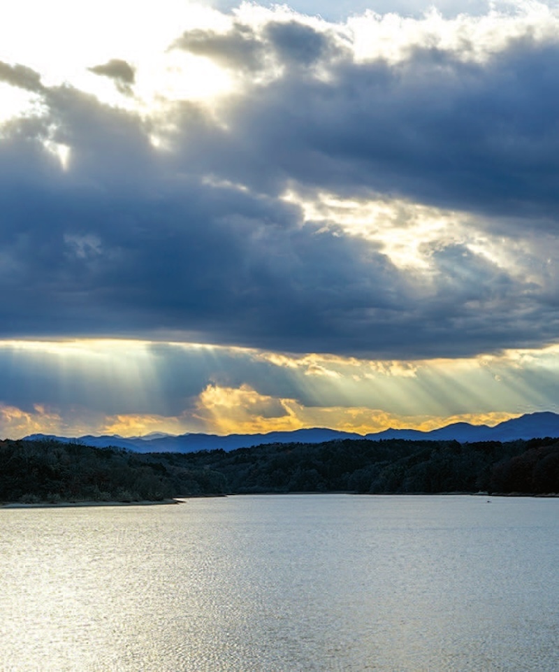 Sayama Lake - Picture