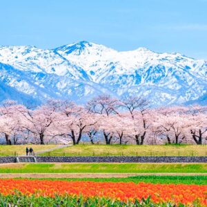 Japon voyage Hokuriku Fukui Alpes