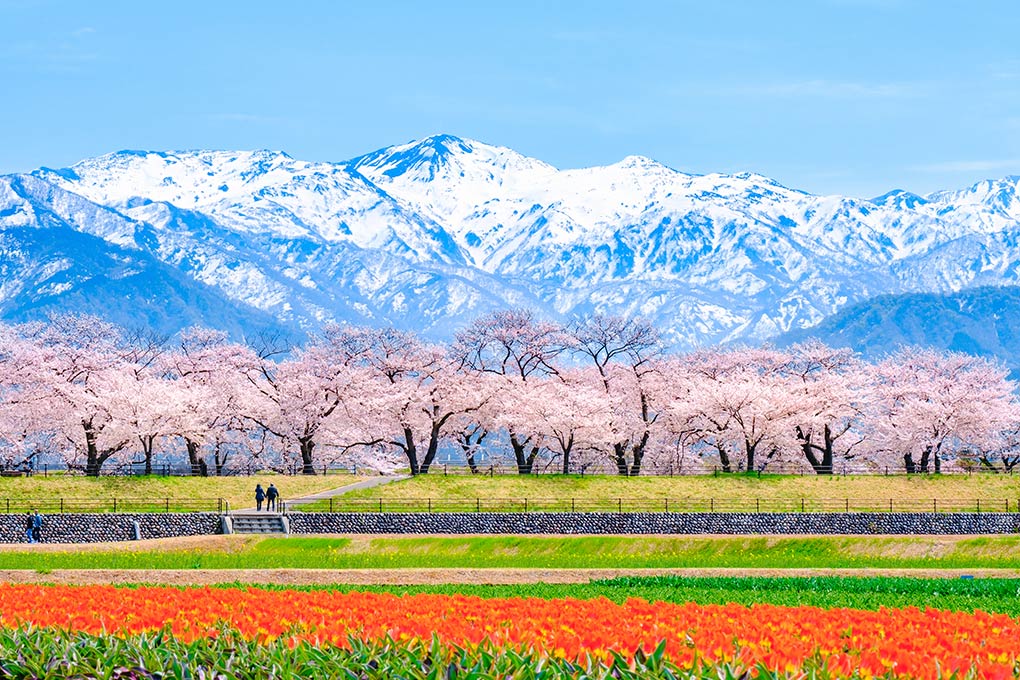 Alpes japonaise Toyama
