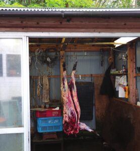Agriculteurs à Yokone (Chiba) - Gibier chassé dans un garage