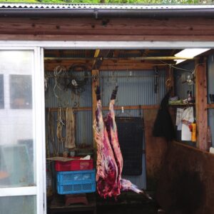 Agriculteurs à Yokone (Chiba) - Gibier chassé dans un garage