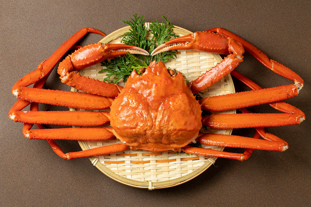 Crabe de Fukui, saveur du Japon