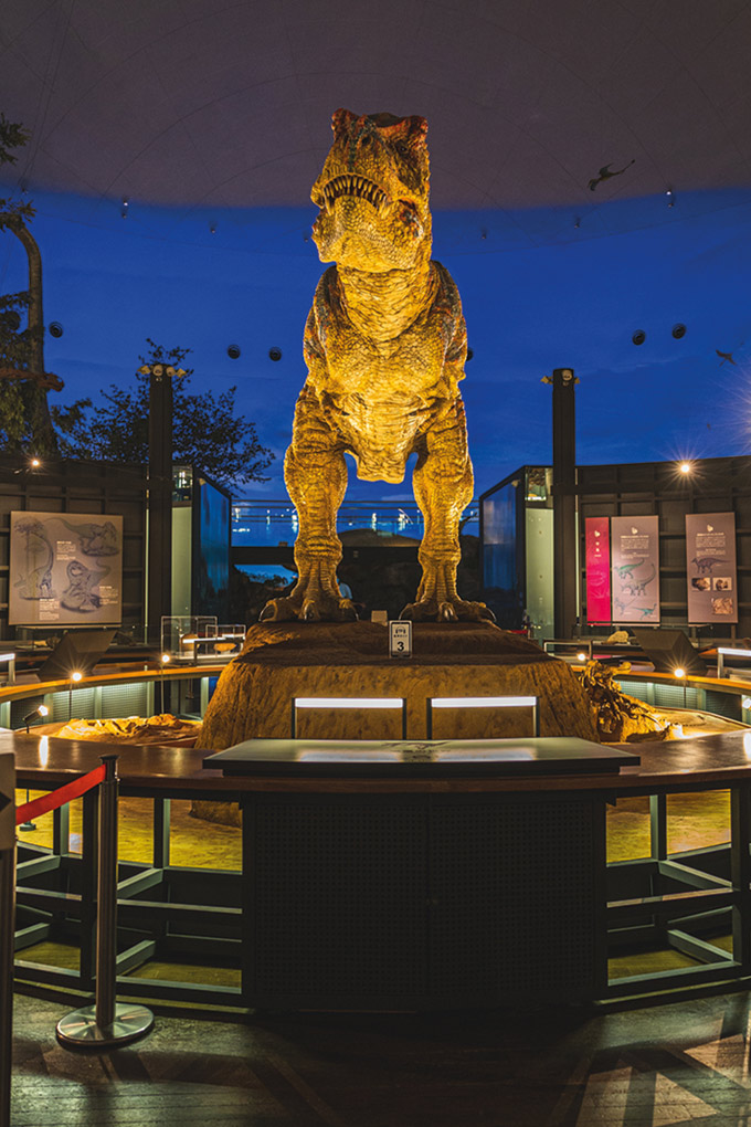 Musée préfectoral des dinosaures de Fukui, Japon