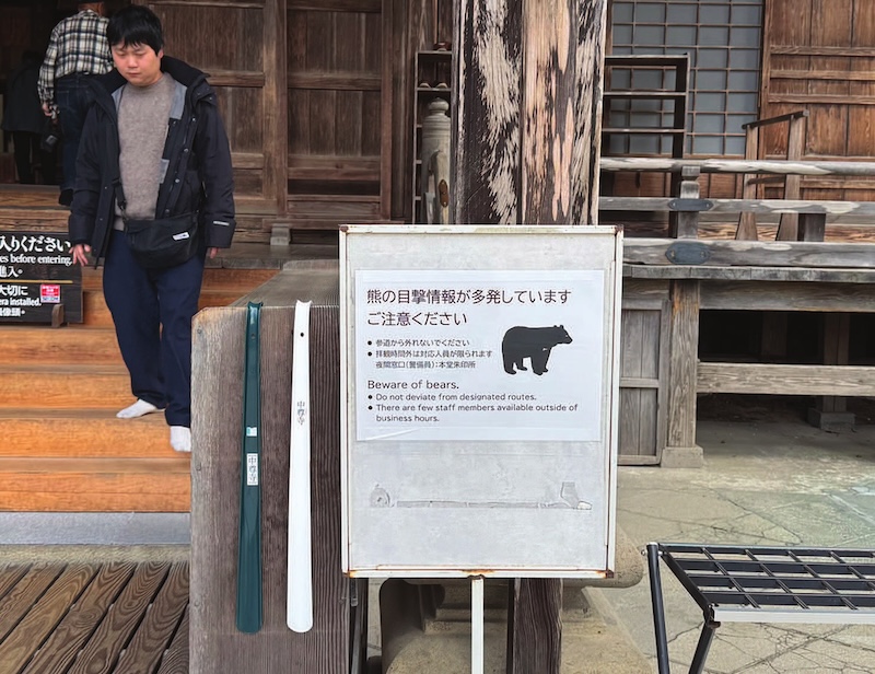 les appels &agrave; la vigilance l'ours iwate