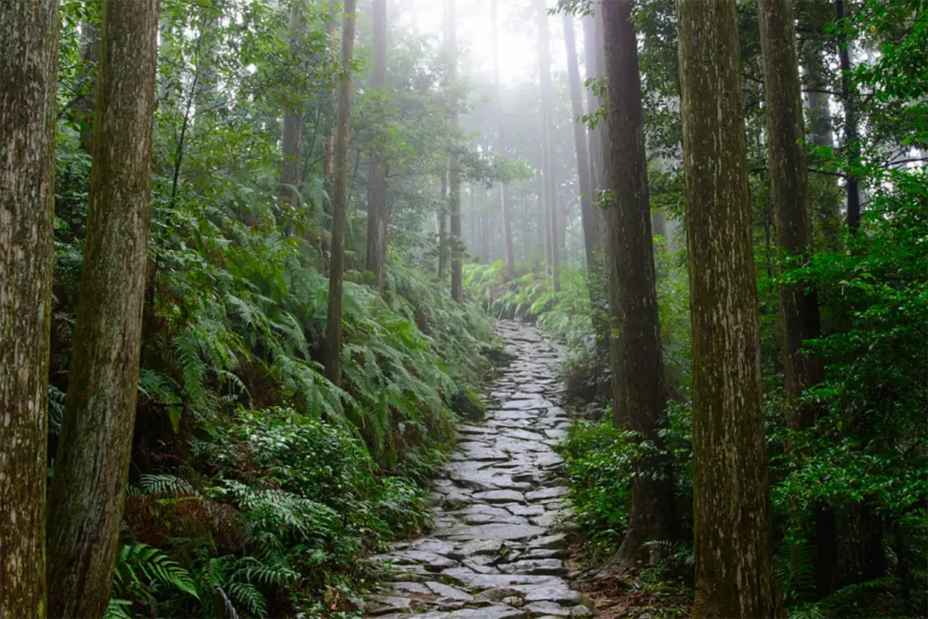 Sentier pav&eacute; de la route d&rsquo;Iseji &agrave; travers la for&ecirc;t, Kumano Kodō, Japon