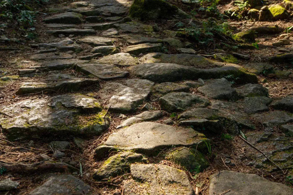 Pav&eacute;s anciens du col de Magose-tōge sur la route d&rsquo;Iseji, Kumano Kodō, Japon