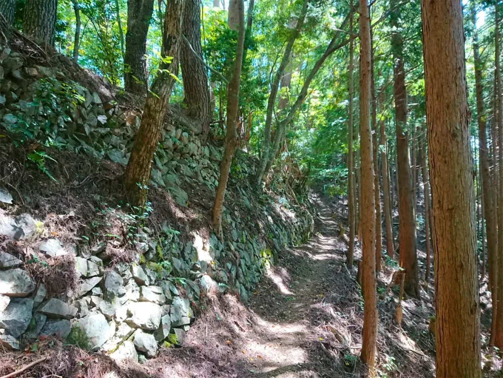 Sentier de montagne du Kohechi