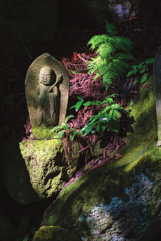 Le long du sentier bois&eacute; de Yamadera.