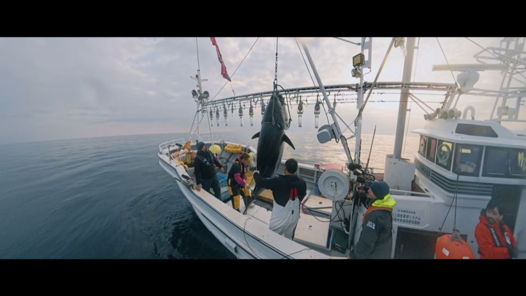 p&ecirc;che thon rouge